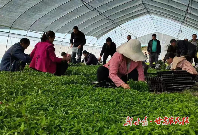 微信圖片_20220506165038.jpg
