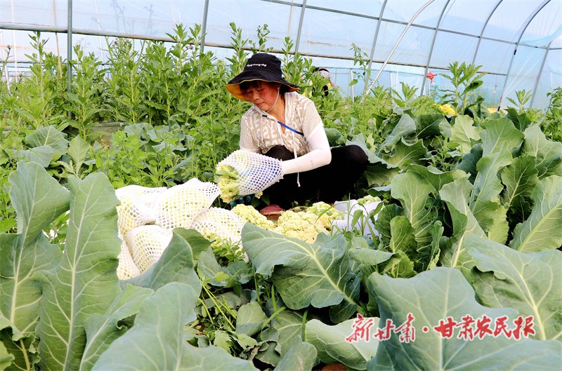 微信圖片_20220606163331_副本.jpg