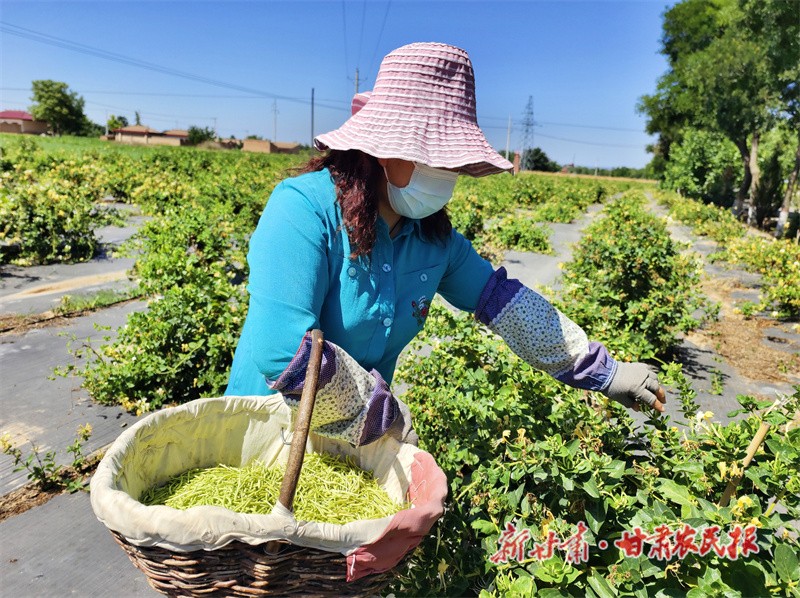 微信圖片_20220620163203.jpg