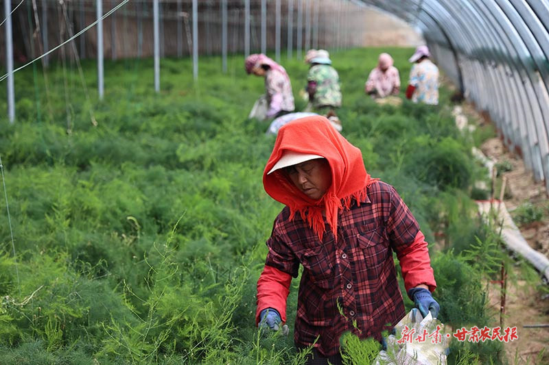 1728634718217306.jpg 1727339650898099015.jpg