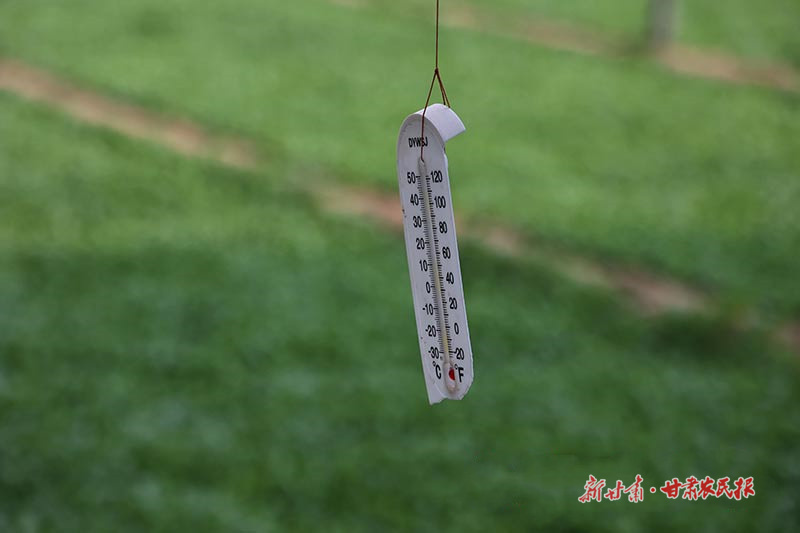 1728634731603304.jpg 1727339661740096703.jpg