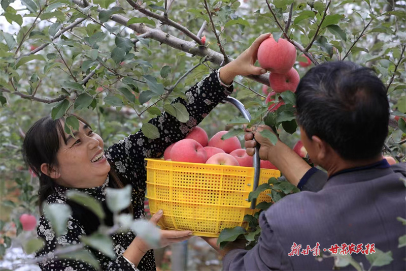 微信圖片_20241014110710