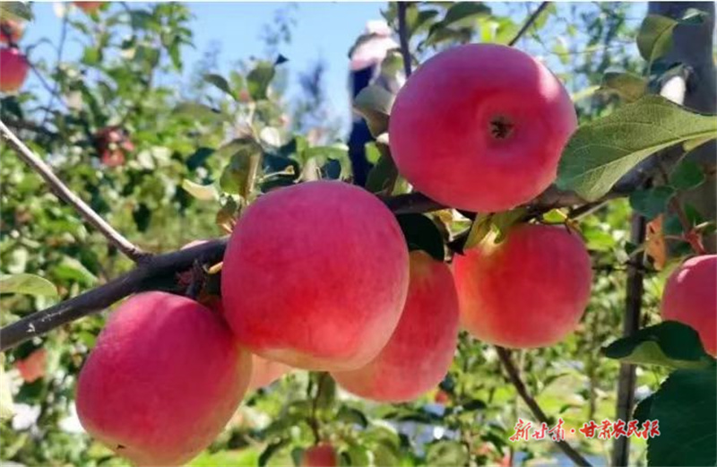 微信圖片_20241014110735