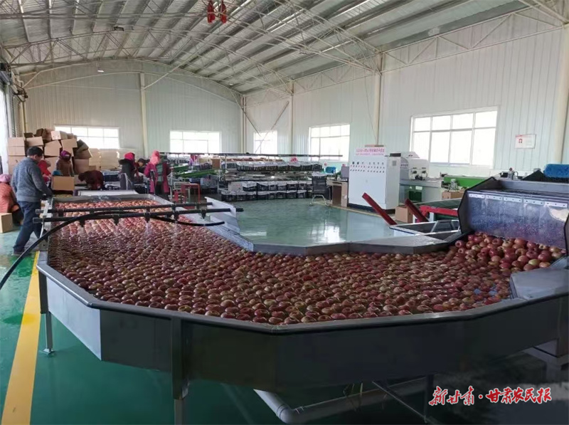 微信圖片_20241014131511