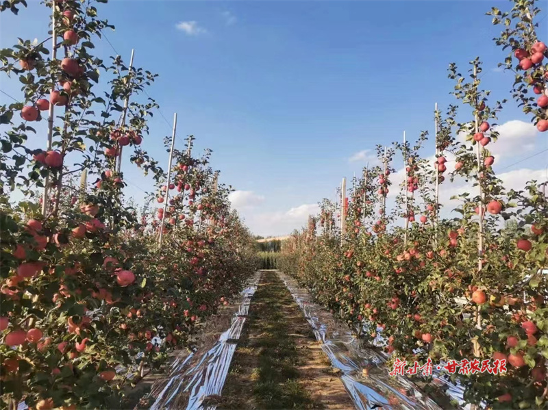 微信圖片_20241014110741