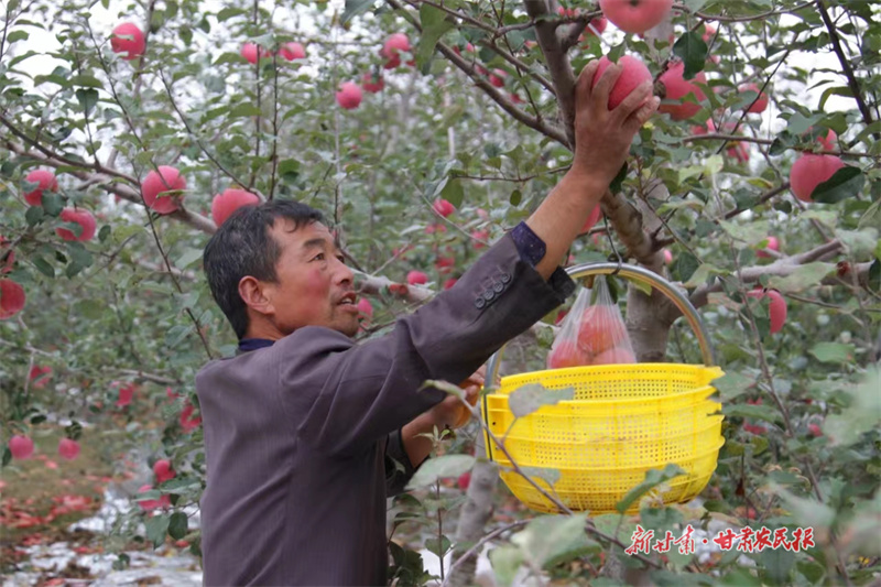 微信圖片_20241014110729