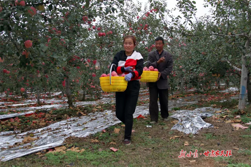 微信圖片_20241014110726