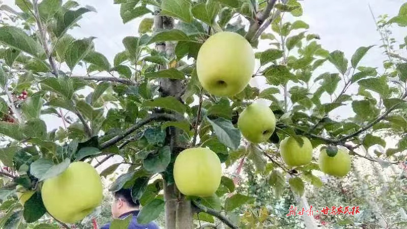 微信圖片_20241014110738