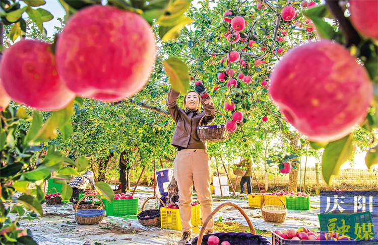 45f170eb-8cc9-45e5-b582-37535f209f46