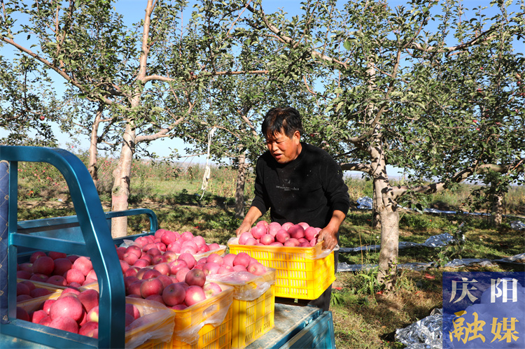 f116f2c8-1d9c-4533-858d-8c5d3b29e0d2