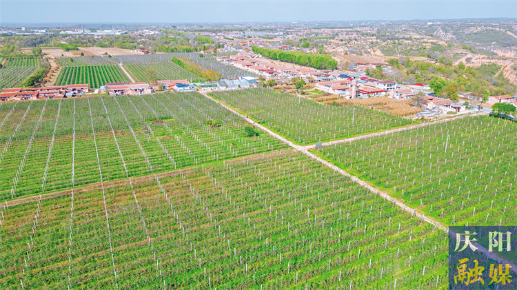 5be56195-048e-4bc7-9005-c0c48d8592f0