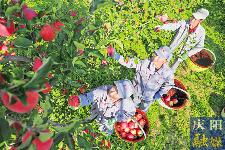 f411d992-cada-4d32-b60e-33fbd5bc61a0