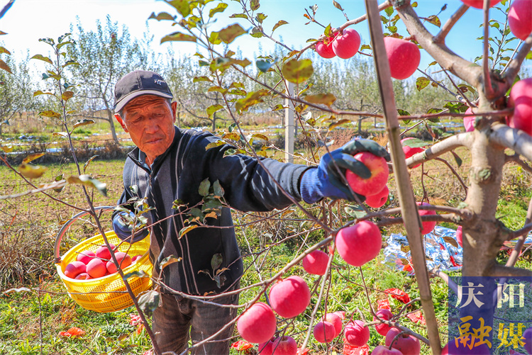 6d0253cb-8e83-4604-9dcc-13d1b9d8c4f1