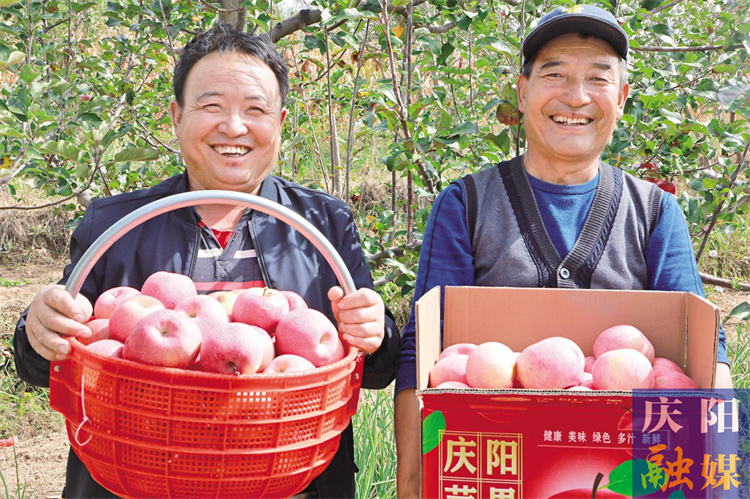 6a7d6f59-a329-43f1-8c62-30e146d311e3