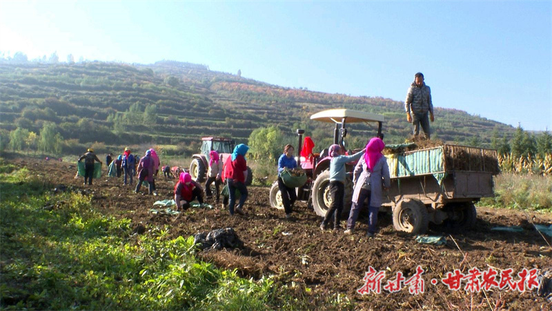 1729563983148384.jpg 微信圖片_20241021164842.jpg