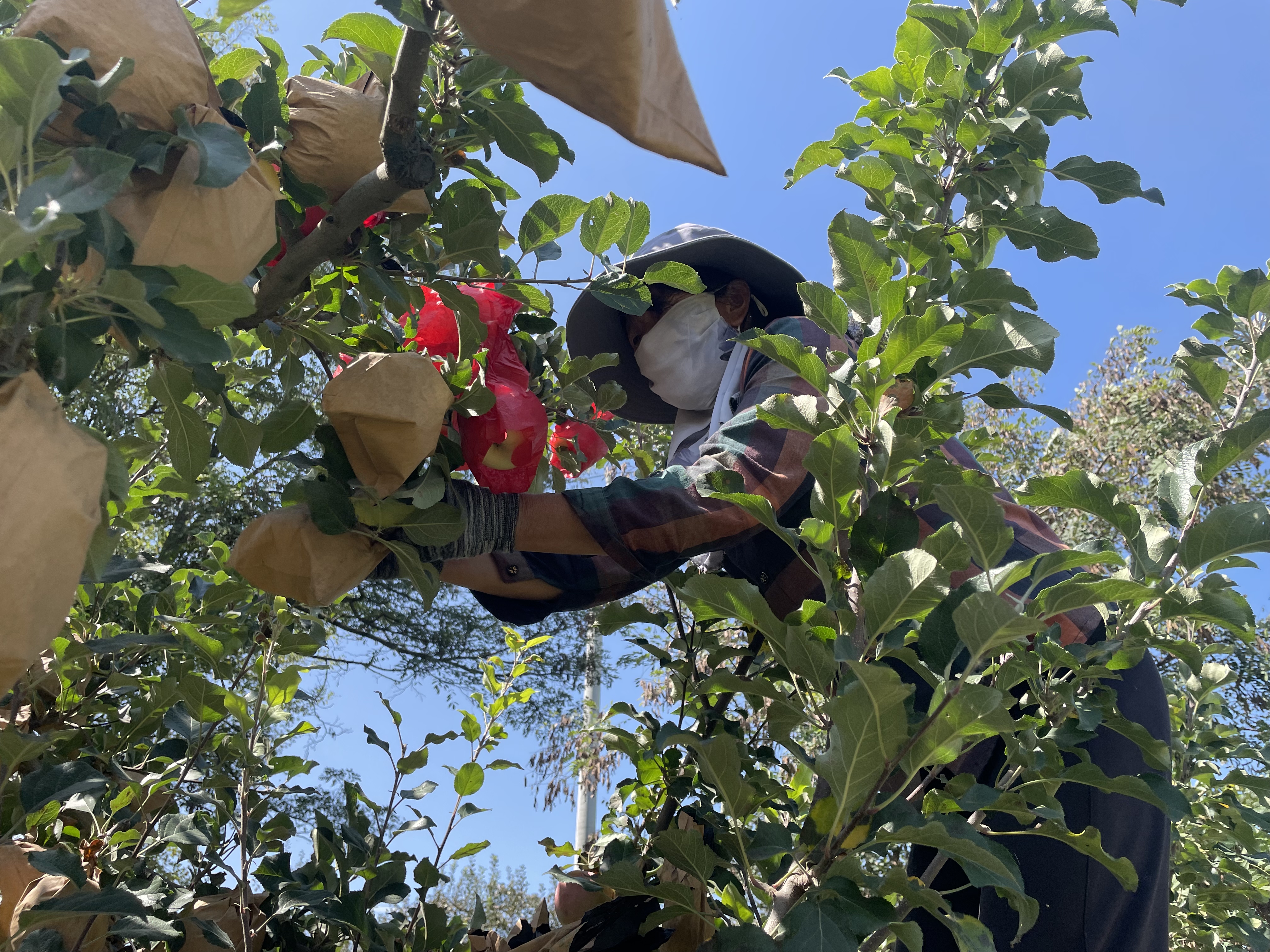 微信圖片_20241021163058