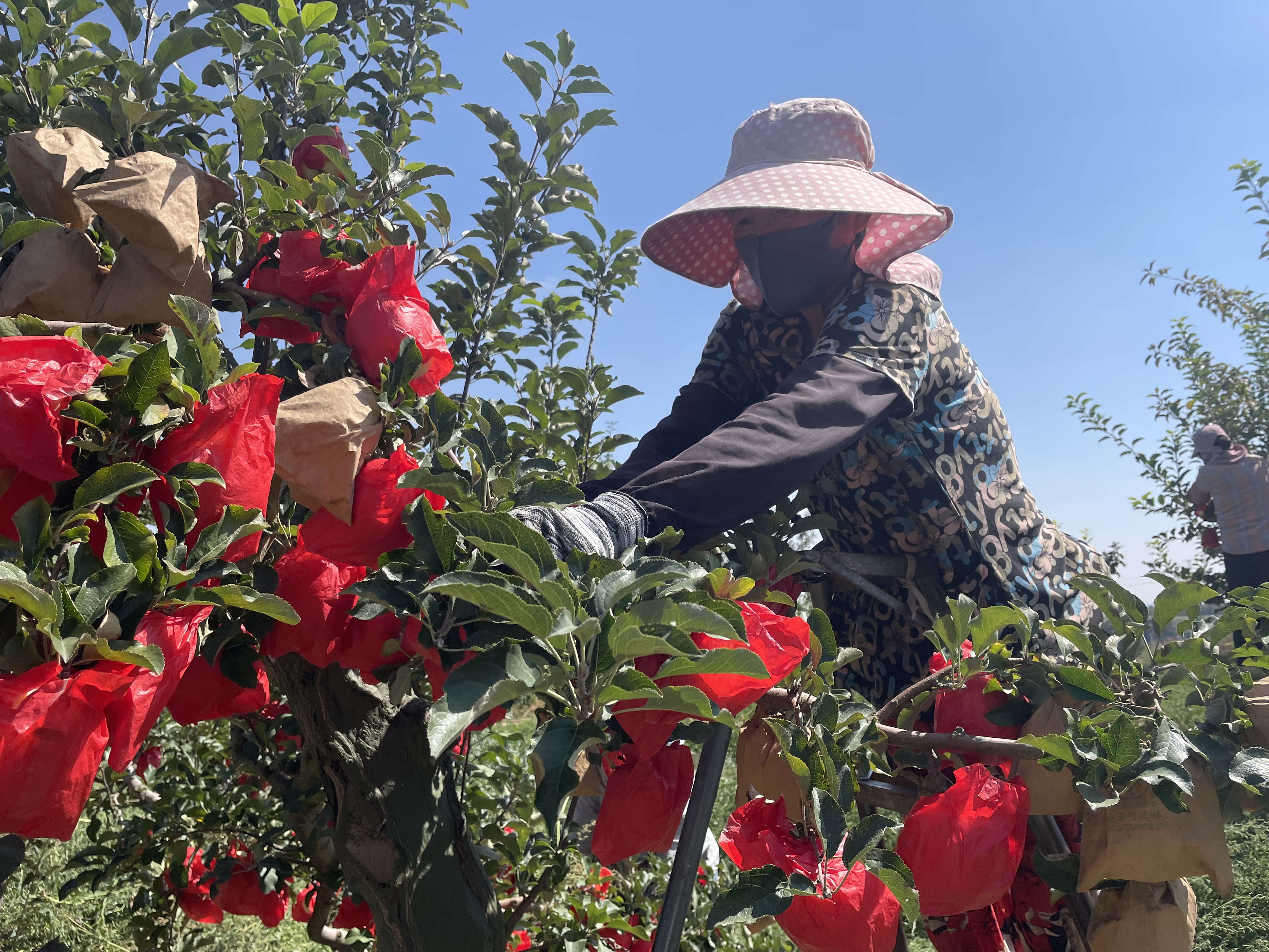 微信圖片_20241021163055