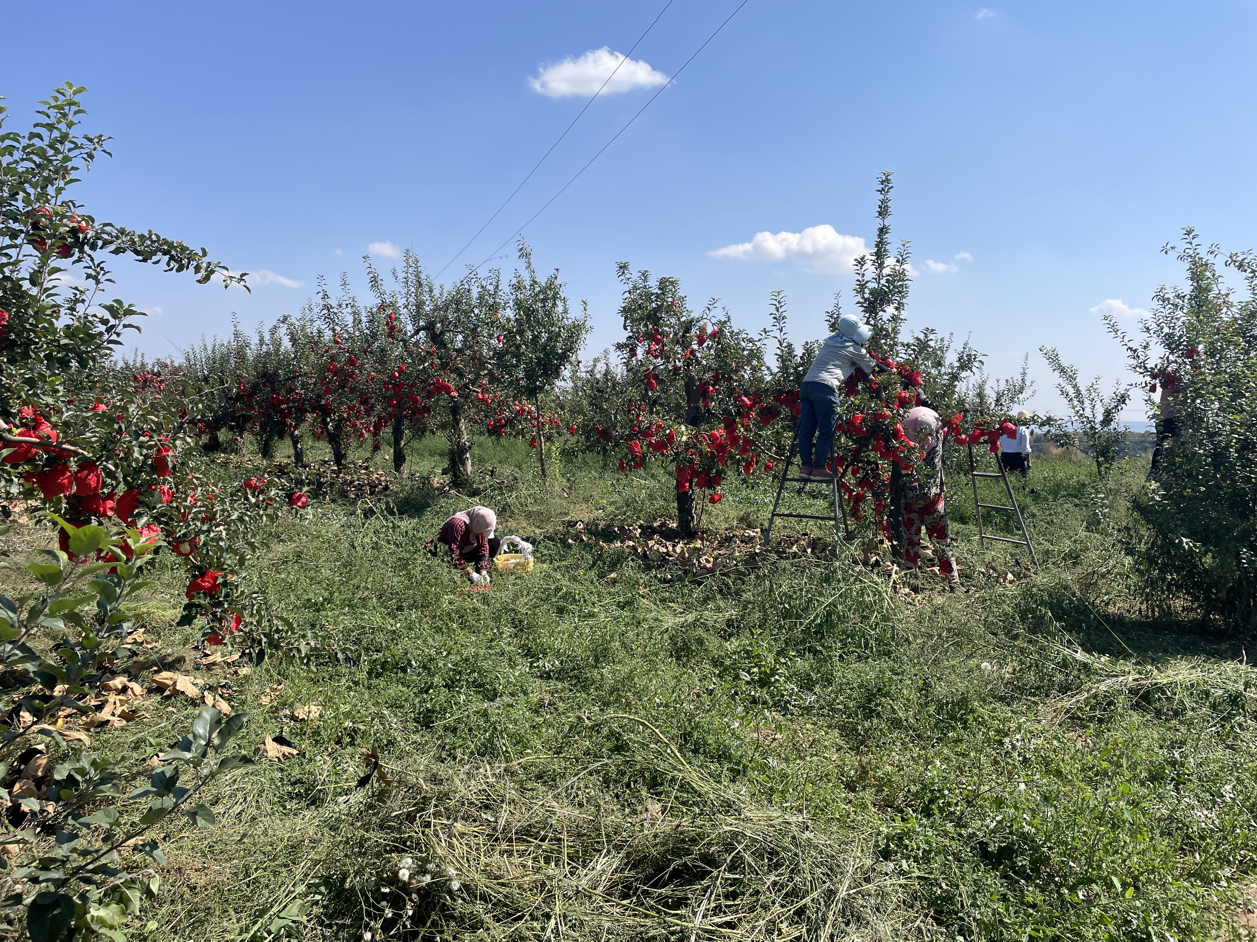 微信圖片_20241021163050