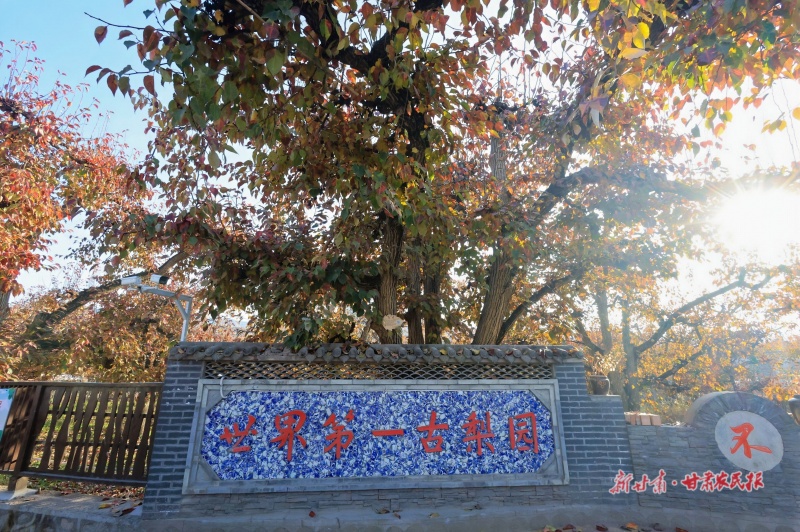 1730946242306635.jpg GetAttachment (1).jpg