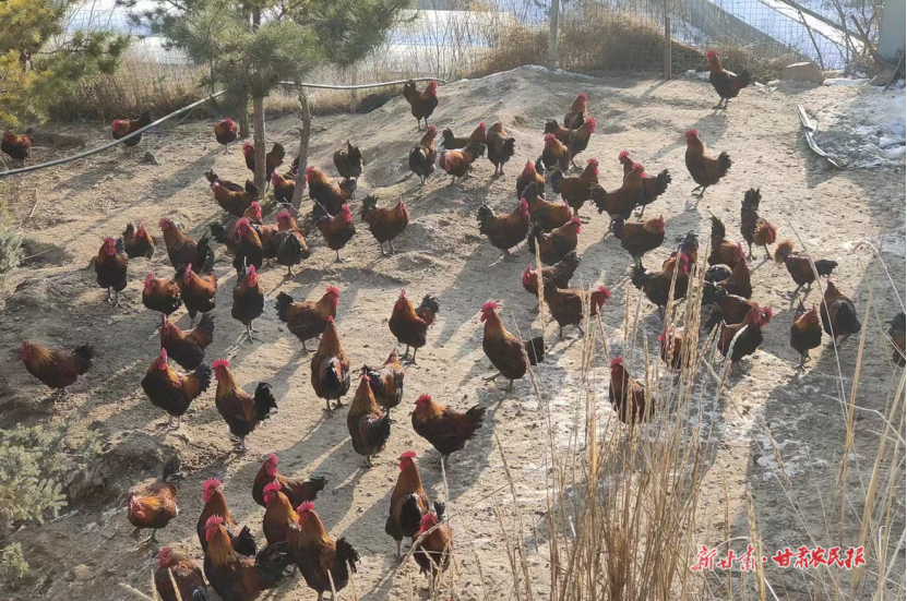 1733729731767856.png GetAttachment.png