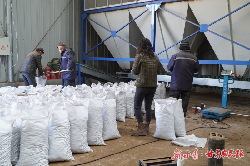 9d57f1c3af85c6db6dd213239462265