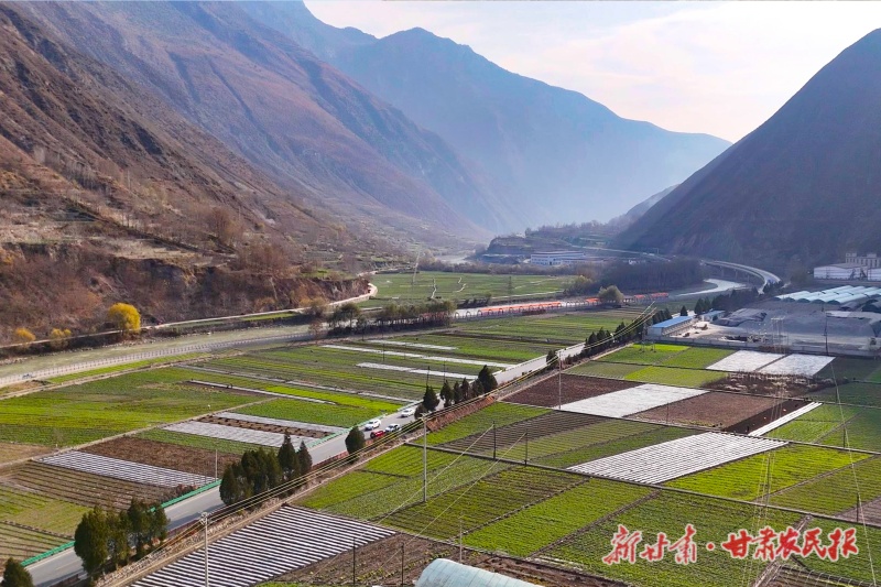 1bae3399e6c1a9df824c2459ca66ed3