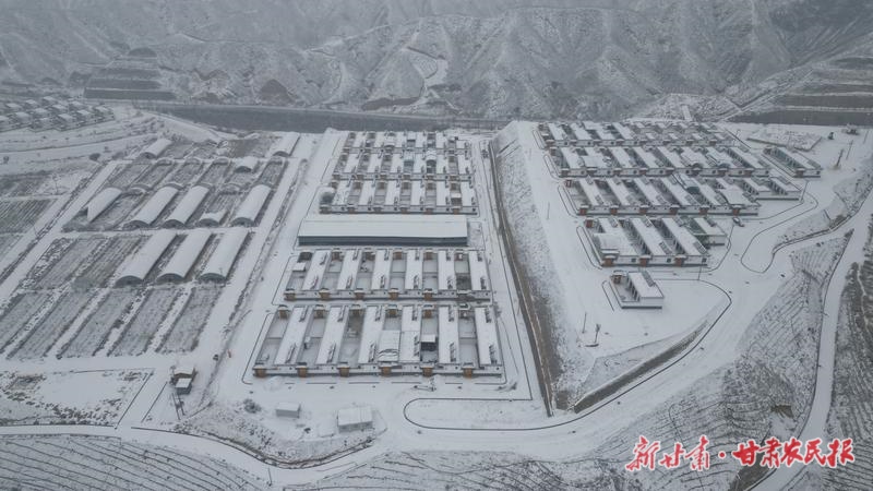 77c8dc1f-4275-491f-9386-89102d387384_m