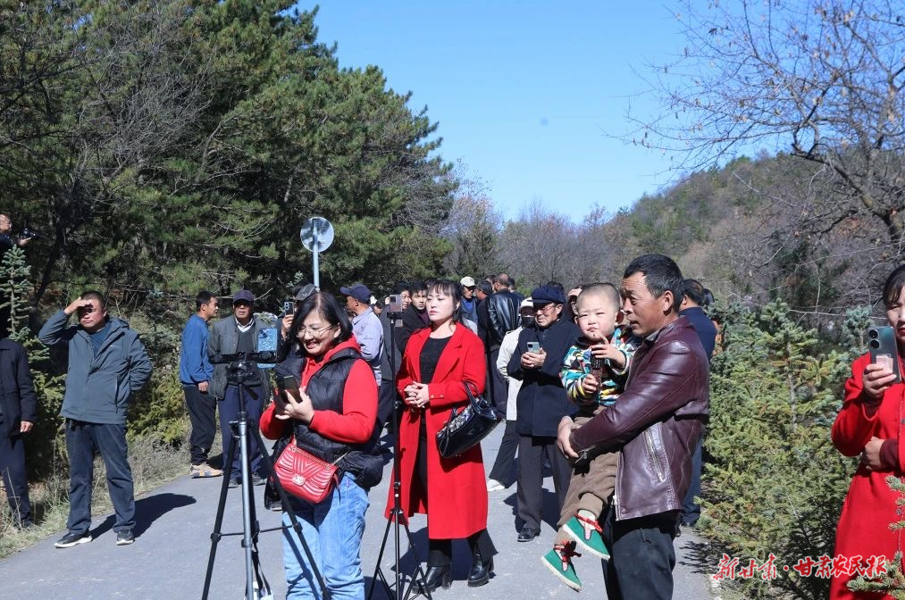 微信圖片_20241217103521