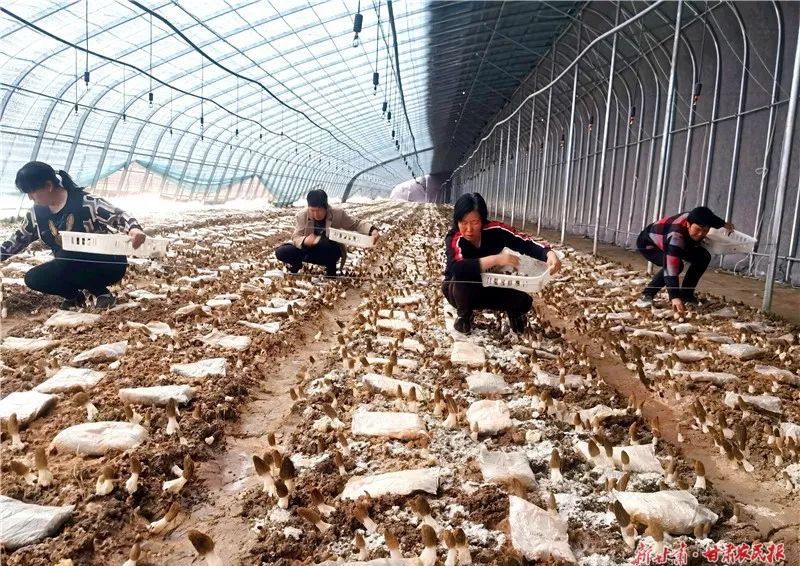 微信圖片_20241217103526 微信圖片_20241217103526