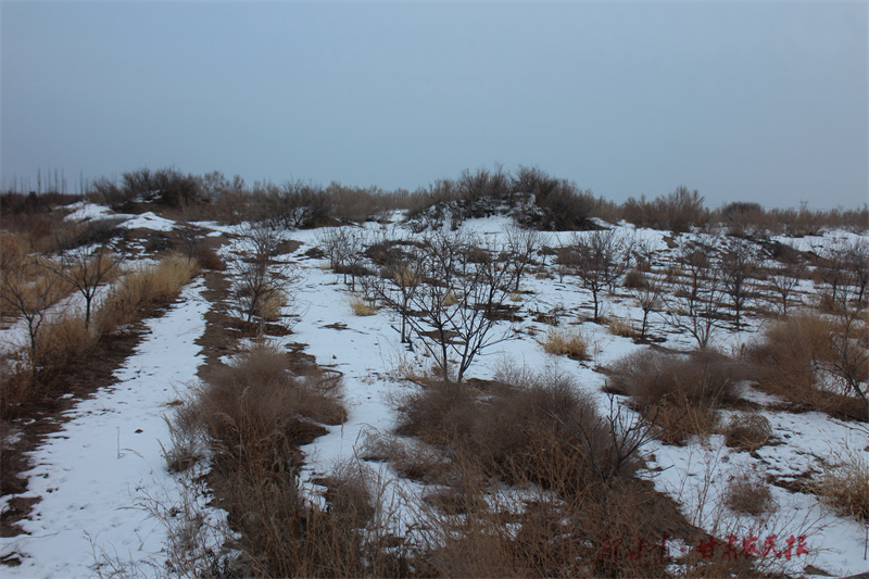 1735269850837732.jpg IMG_2567.jpg