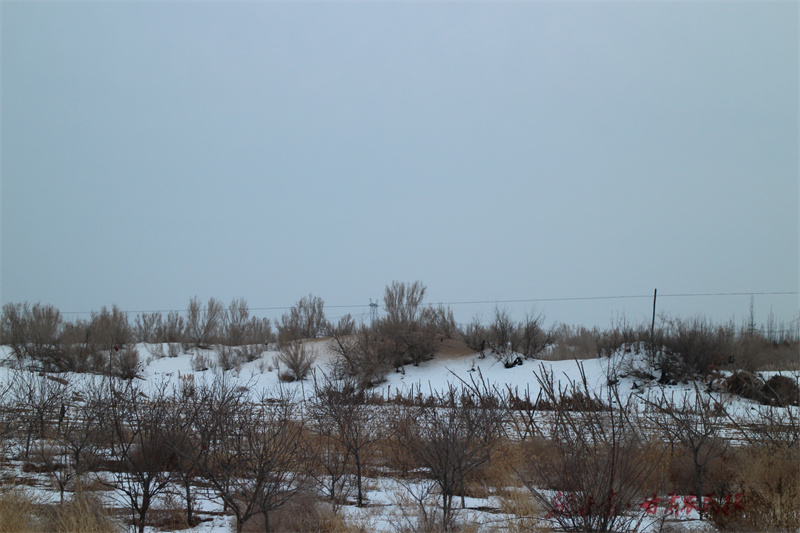 1735269870691553.jpg IMG_2569_副本.jpg