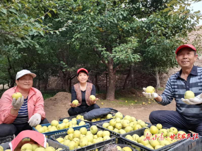 1737076827180257.png 辛柏良1.png