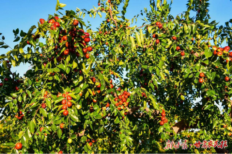 1737076846975011.png 辛柏良2.png