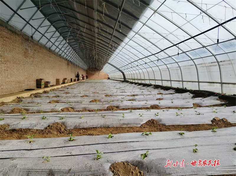 微信圖片_20250207084156