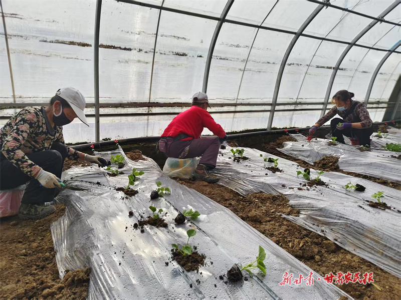 微信圖片_20250207084146