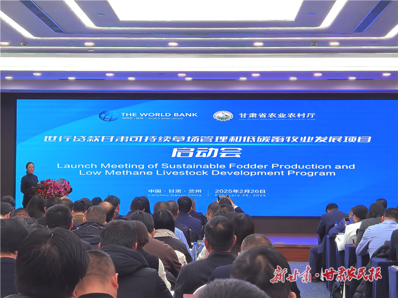 微信圖片_20250226154410