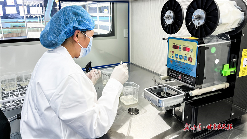 農(nóng)技人員培育脫毒種苗_副本