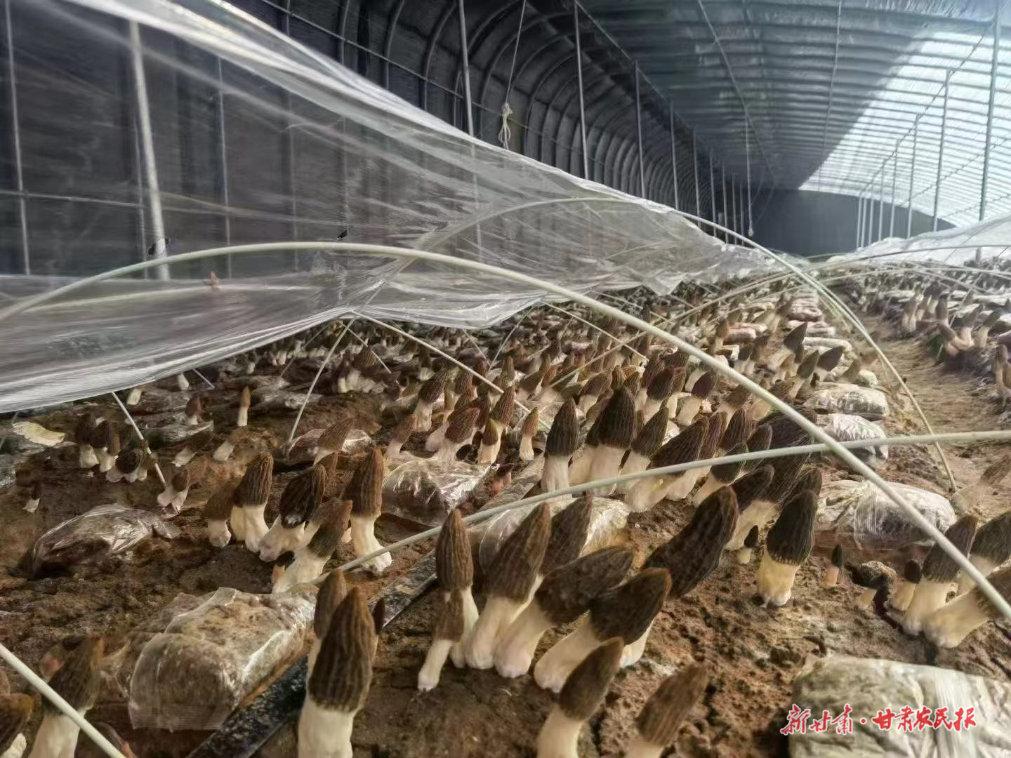 微信圖片_20250318095420