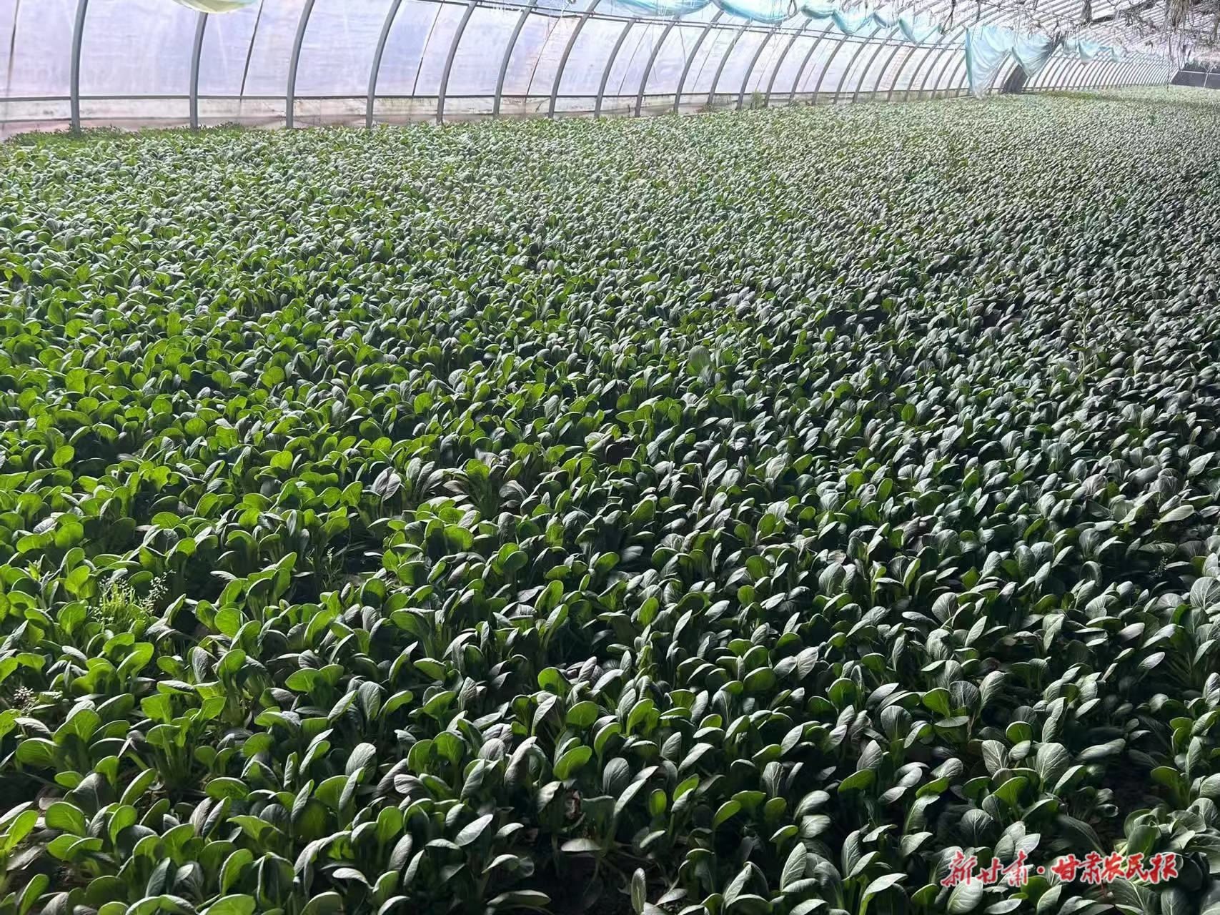 微信圖片_20250318095408