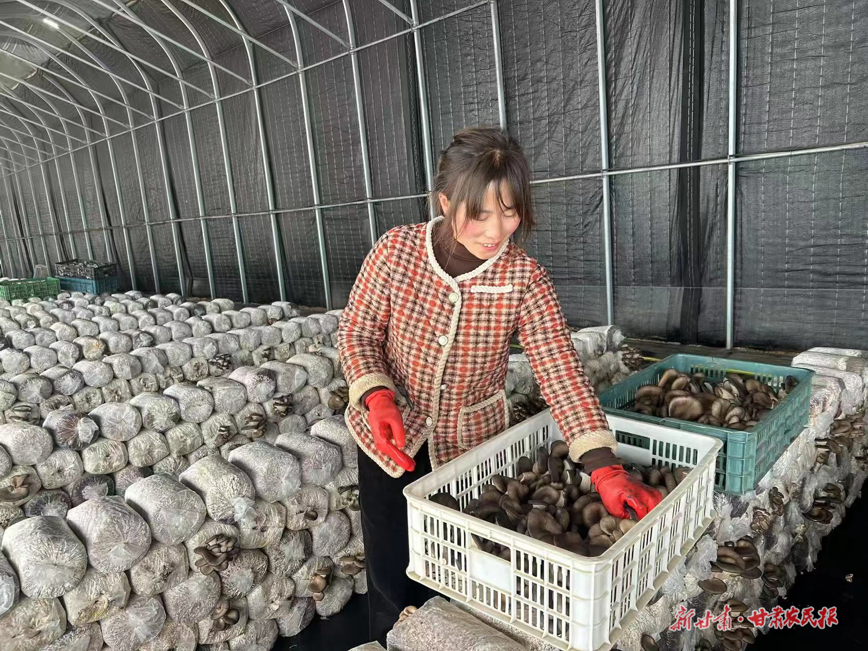 微信圖片_20250318095404