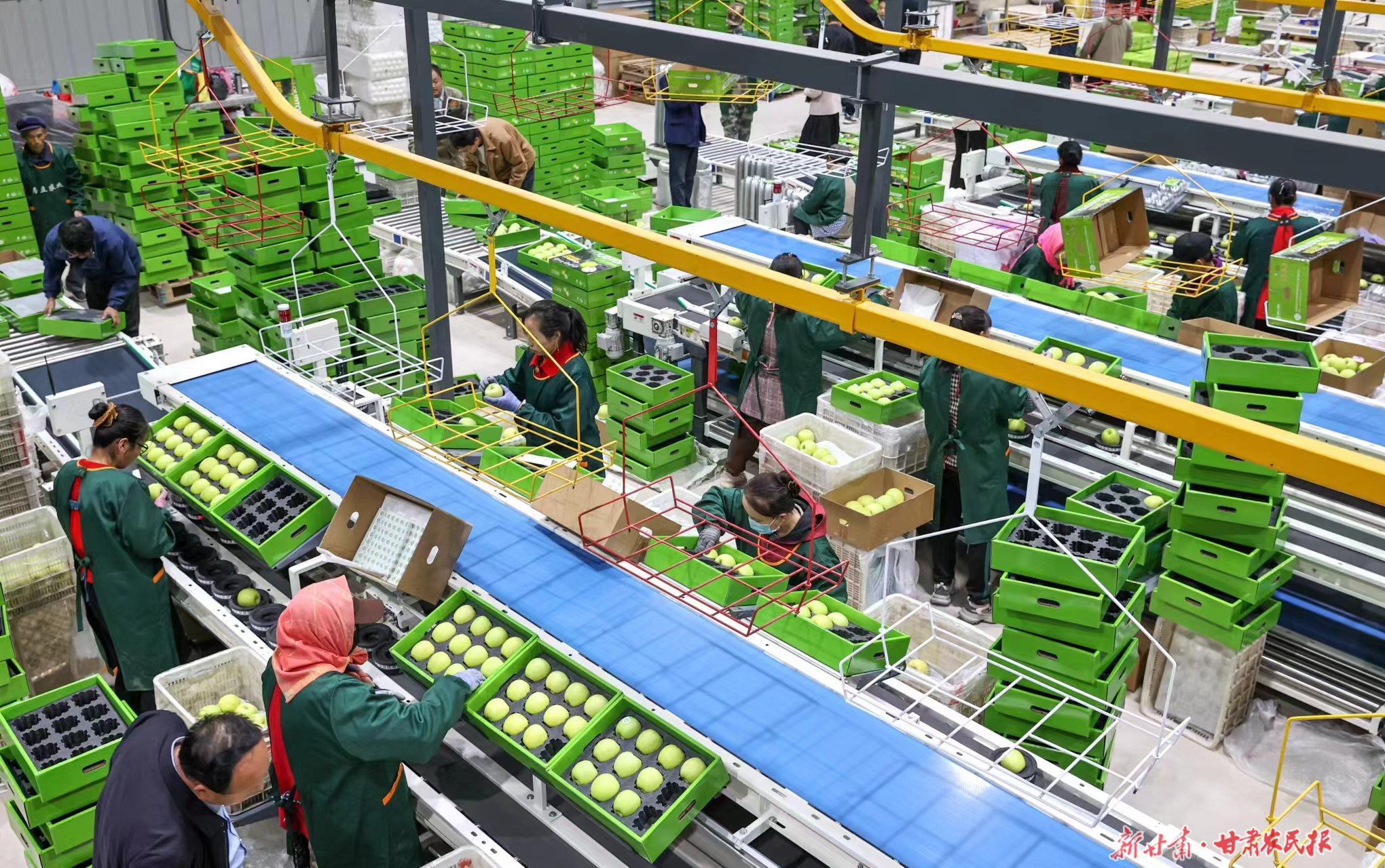 微信圖片_20250325100457