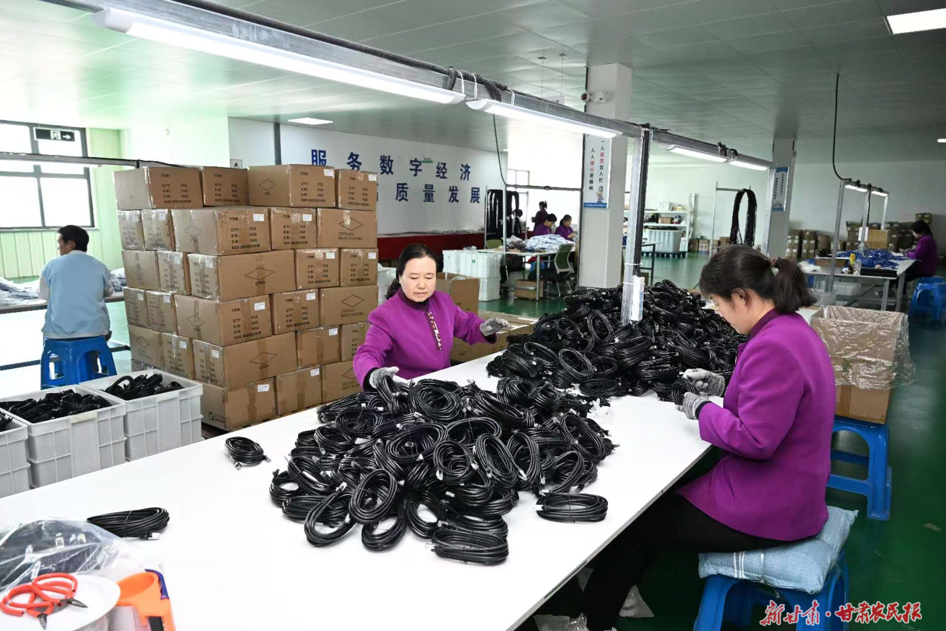 微信圖片_20250325100443