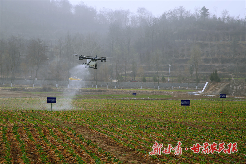 6ae80f7350c6bf497ef7789adeedbd1