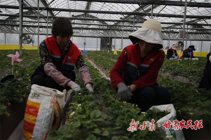 4e2e0cc616370aaa686de64c64a3c34