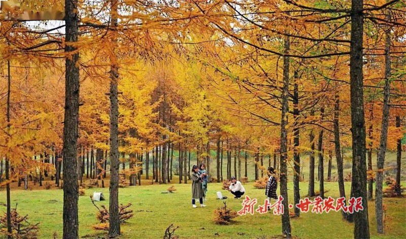 關山美景.jpg