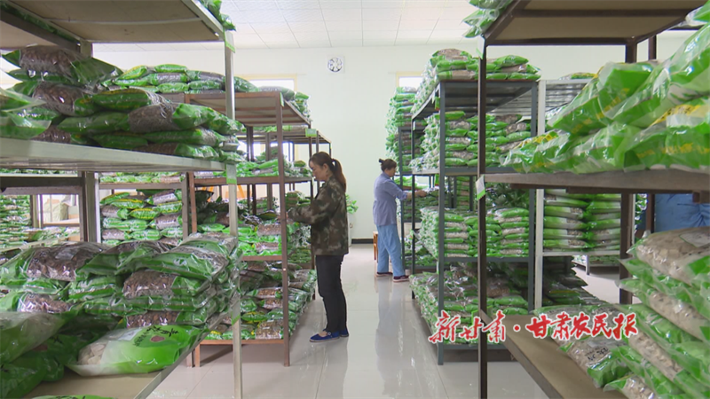 青松制藥廠工人正在整理藥品.png