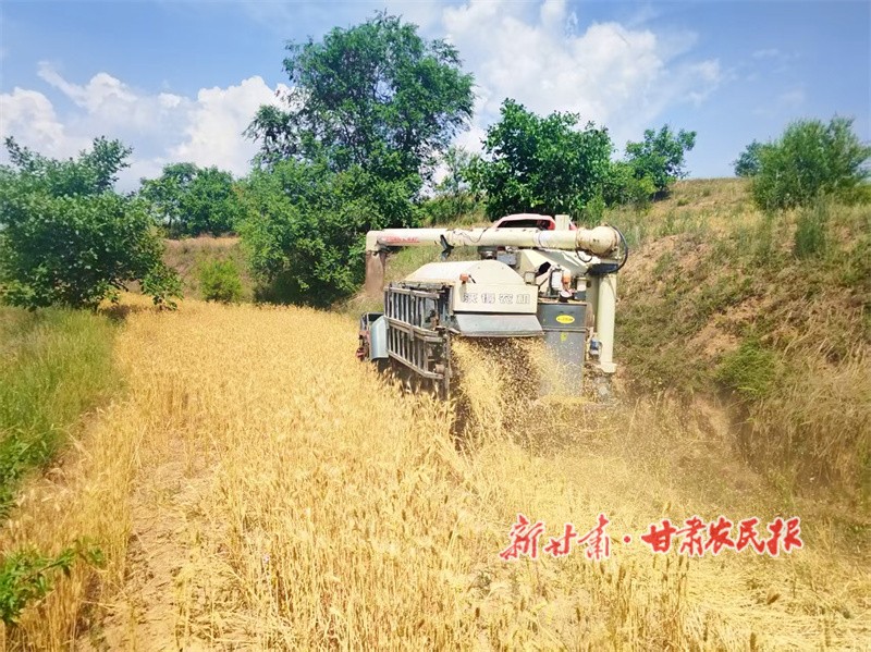 1751963156480075.jpg 秸稈還田.jpg