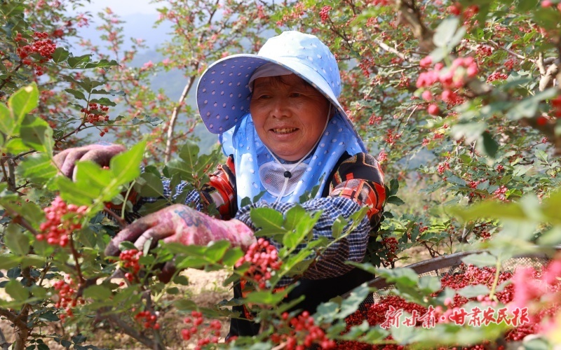 微信圖片_20250712170508