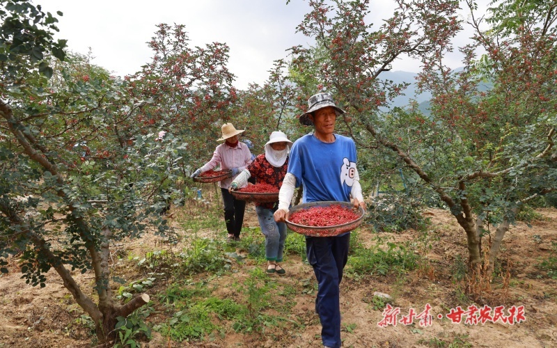 微信圖片_20250712170452