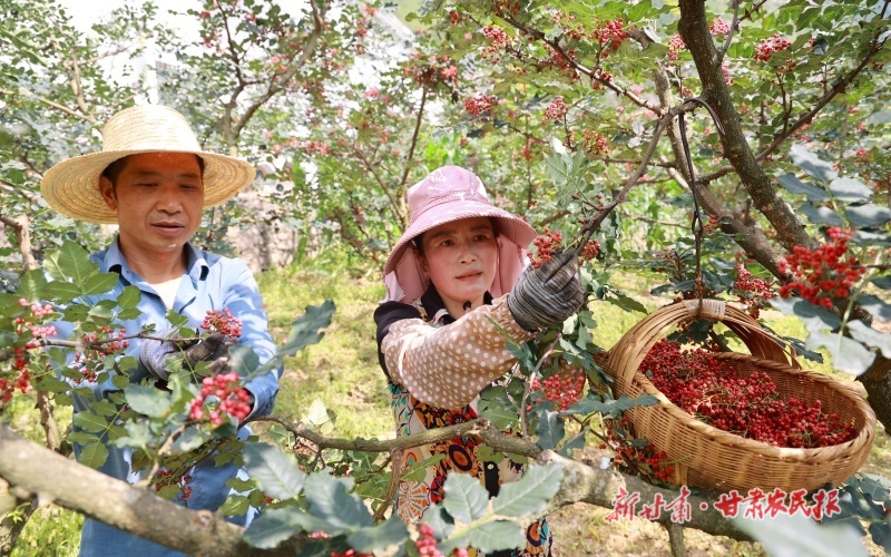 微信圖片_20250712170328